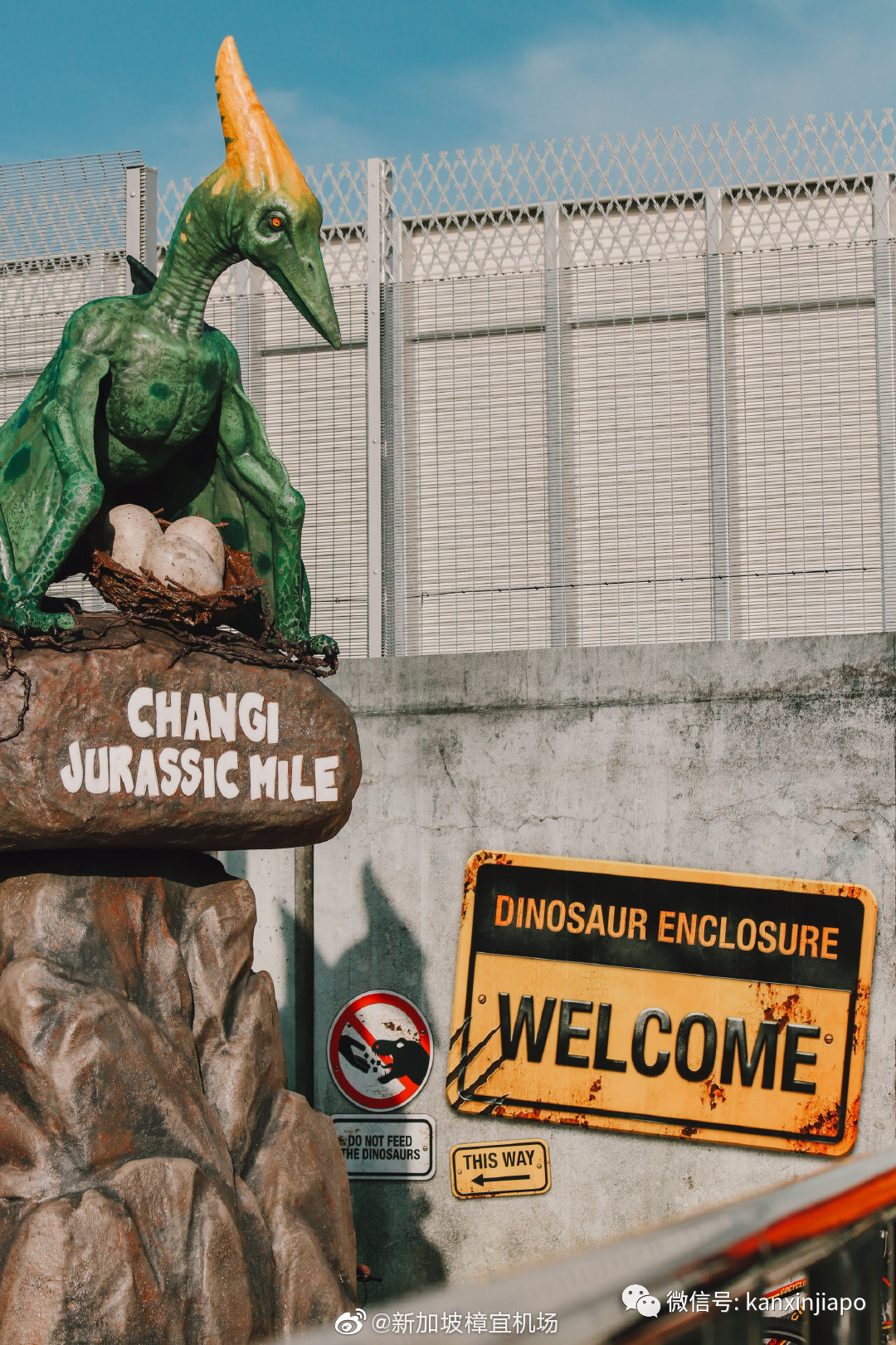 解鎖樟宜機場的隱藏玩法,新加坡新晉打卡點