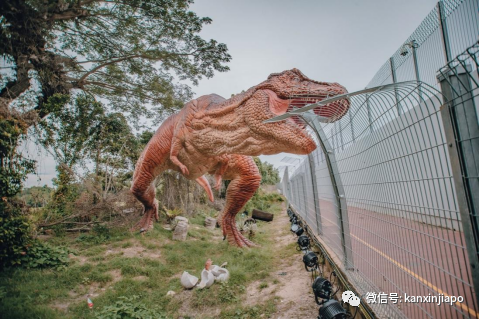 解鎖樟宜機場的隱藏玩法,新加坡新晉打卡點