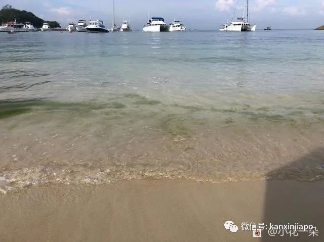 除了乌敏岛，新加坡还有这两个岛超适合出游！