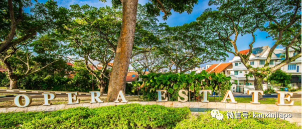 解鎖樟宜機場的隱藏玩法,新加坡新晉打卡點