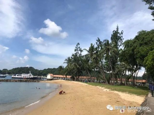 除了乌敏岛，新加坡还有这两个岛超适合出游！
