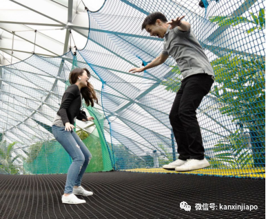 解鎖樟宜機場的隱藏玩法,新加坡新晉打卡點