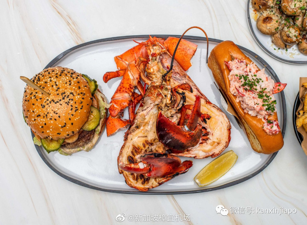 解鎖樟宜機場的隱藏玩法,新加坡新晉打卡點