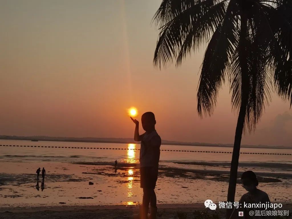 去樟宜海滩赶海吧，那里有最美的日出和从未见过的海洋生物...