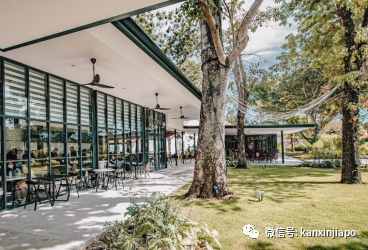 解鎖樟宜機場的隱藏玩法,新加坡新晉打卡點