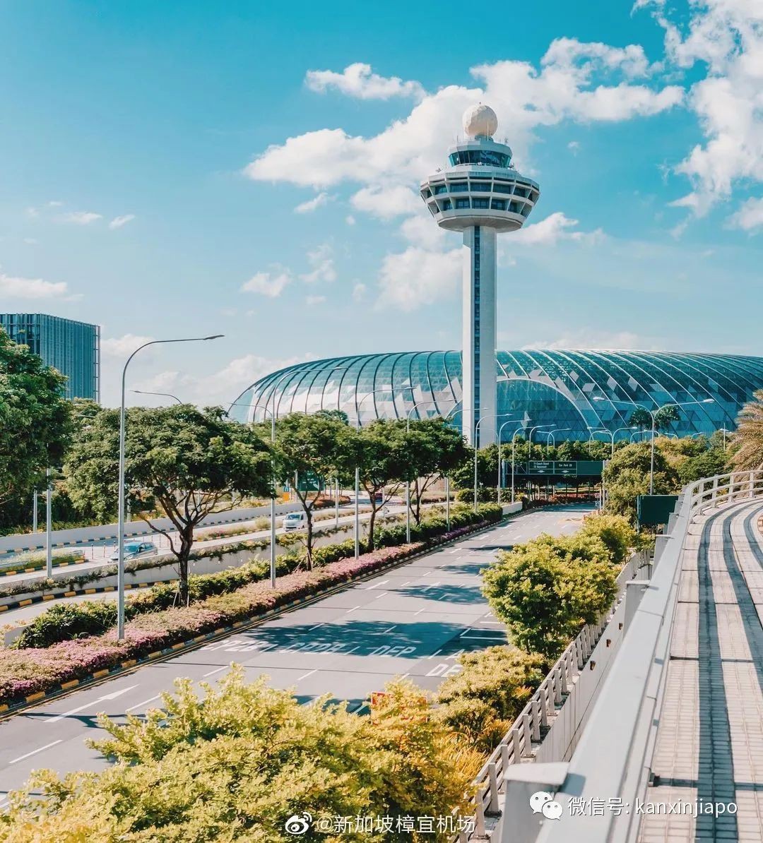解鎖樟宜機場的隱藏玩法,新加坡新晉打卡點