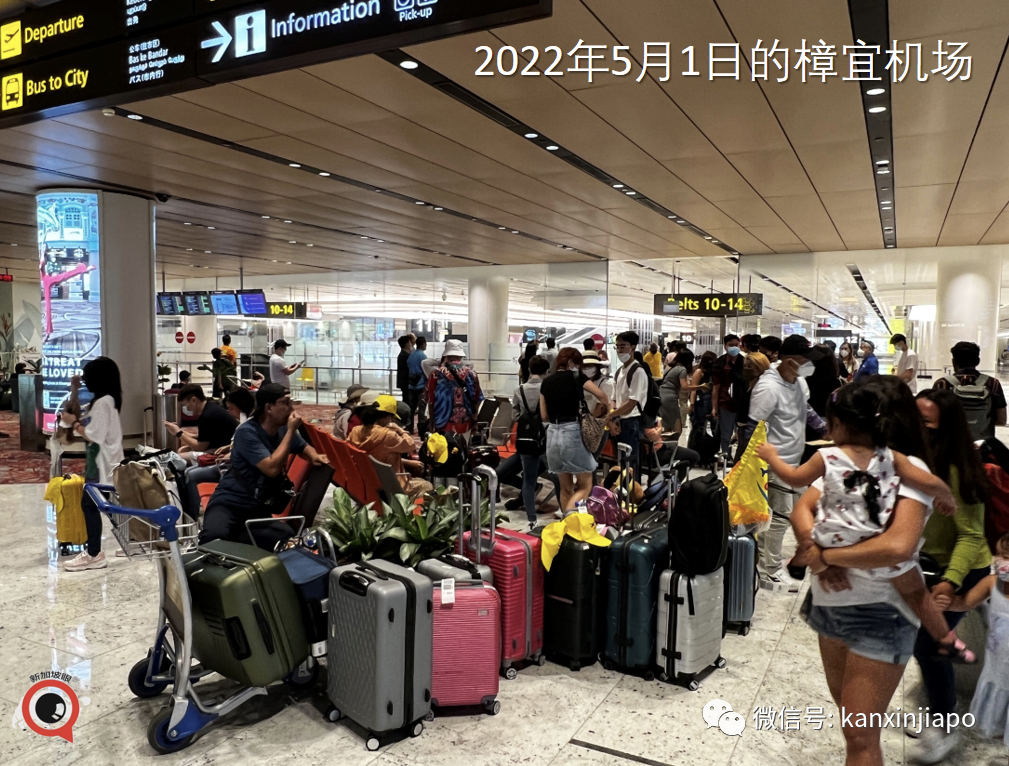 日本开放新加坡等首批四国旅游团；暂停2年的樟宜机场T5航站楼项目重启