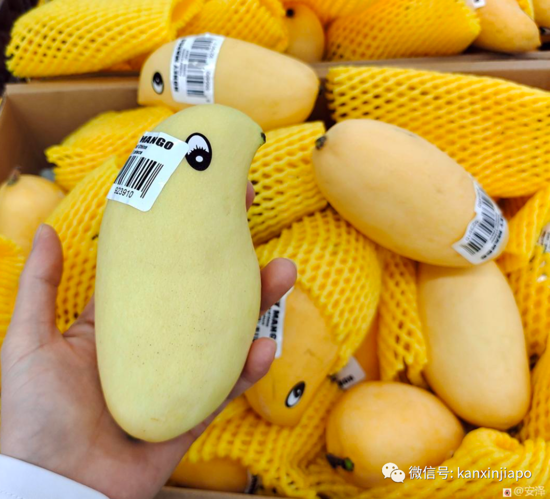 1新幣白菜價,我在新加坡巴刹實現水果采購自由