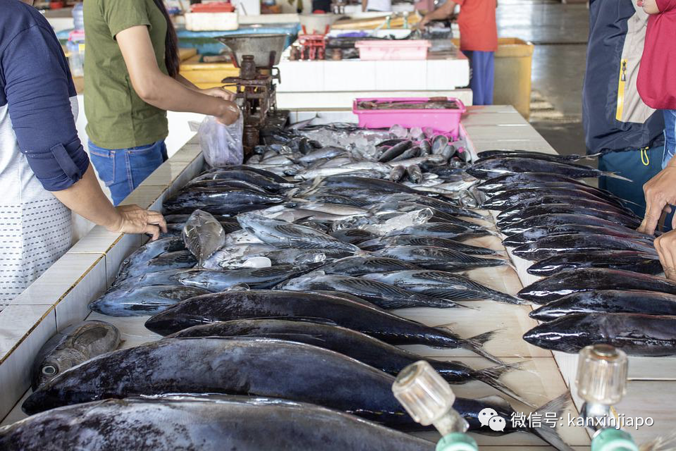 魚肉價格也漲了30%?!馬來西亞削減魚類出口量,這還活不活了...