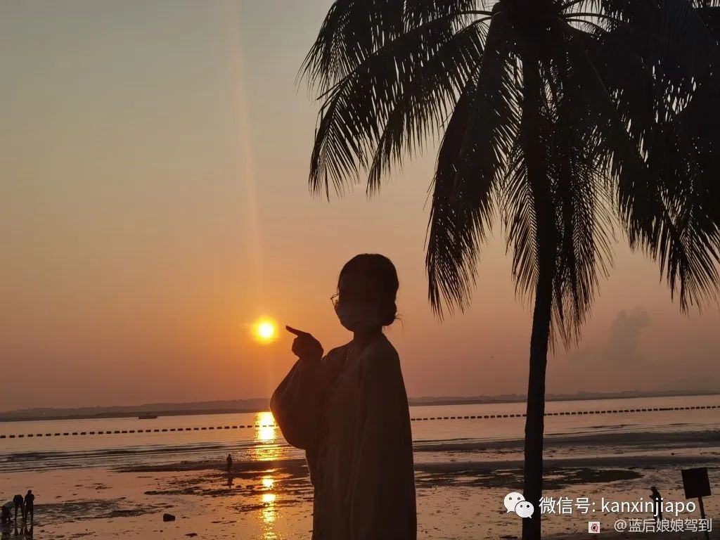 去樟宜海滩赶海吧，那里有最美的日出和从未见过的海洋生物...