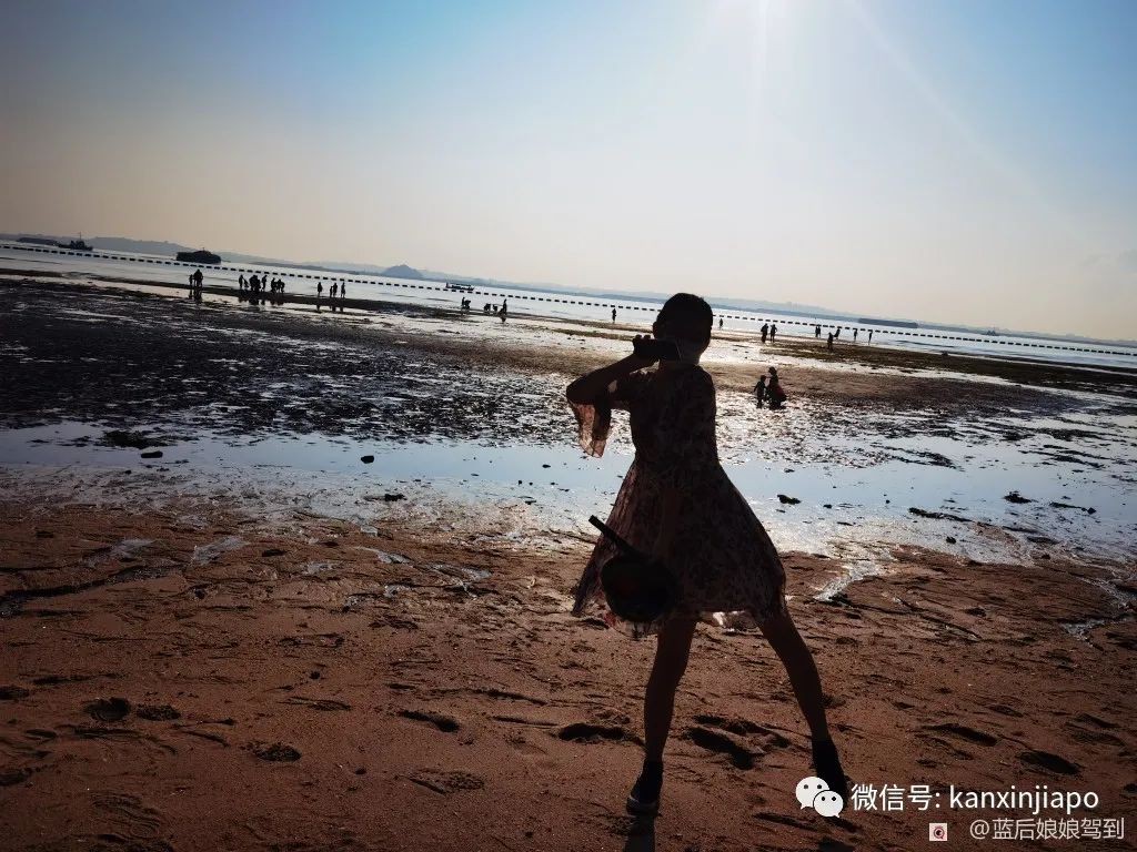 去樟宜海滩赶海吧，那里有最美的日出和从未见过的海洋生物...