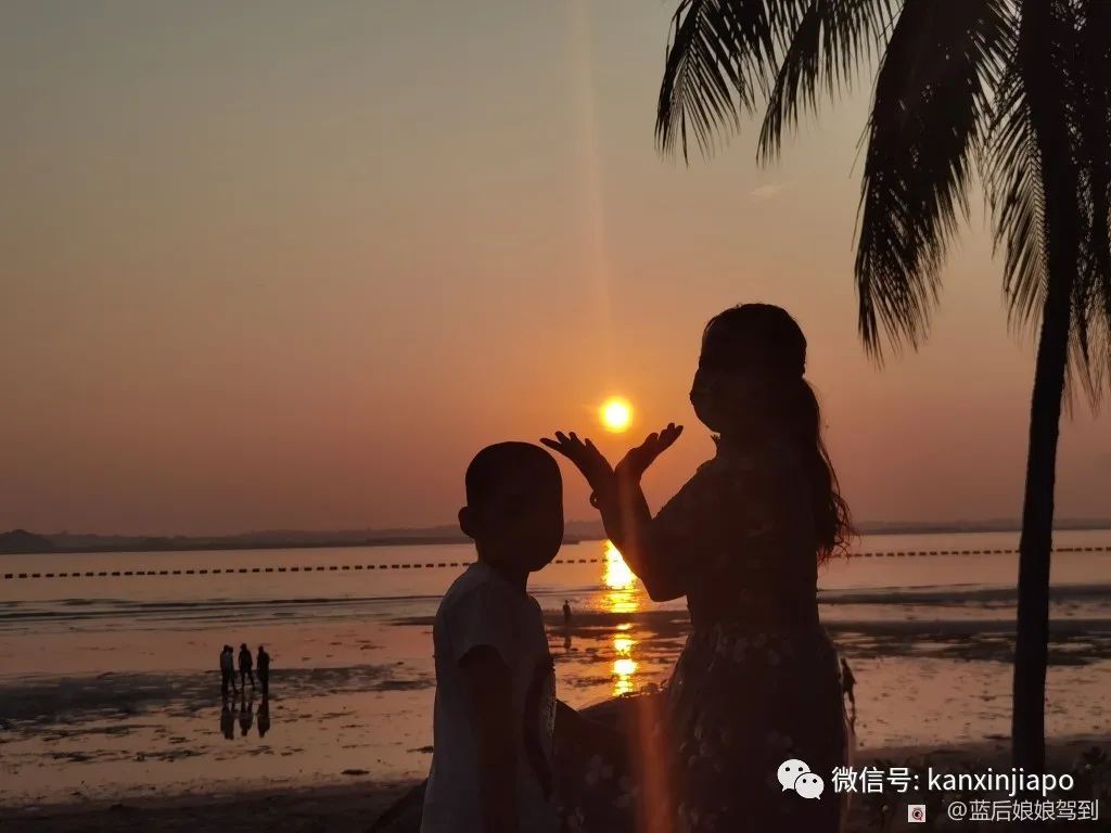 去樟宜海滩赶海吧，那里有最美的日出和从未见过的海洋生物...