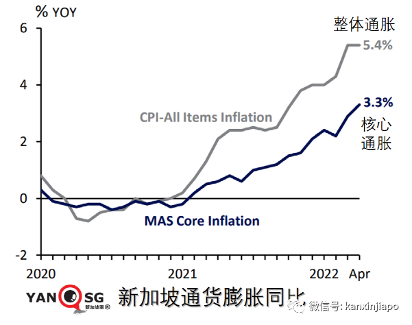 涨！涨！涨！新加坡四月通胀飙至十年新高；马国“停鸡”，新加坡供应受影响