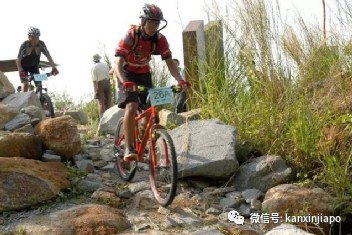 新加坡骑行绝佳路线推荐！新手、带娃通通考虑到了~