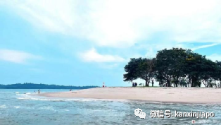 新加坡骑行绝佳路线推荐！新手、带娃通通考虑到了~
