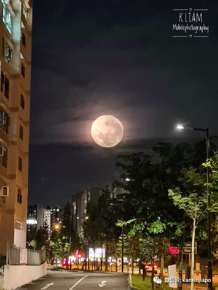 “​草莓月亮”登录新加坡，今晚8点半以前迎来圆满时刻！