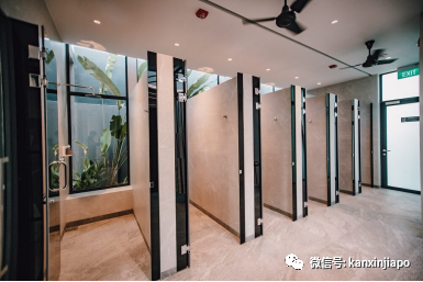 新加坡骑行绝佳路线推荐！新手、带娃通通考虑到了~