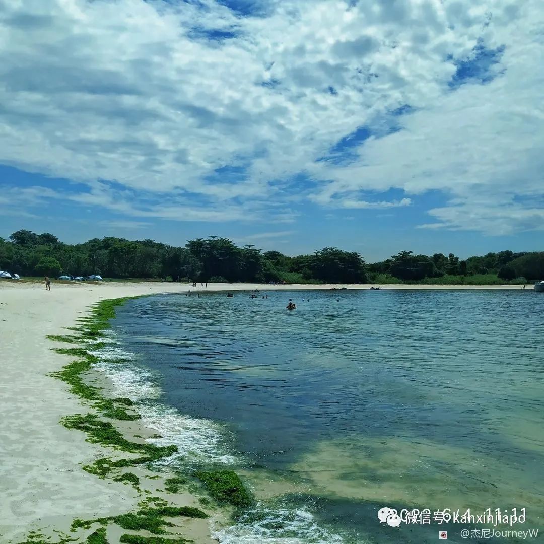新加坡离岛攻略，半个多小时便能收获美景天堂