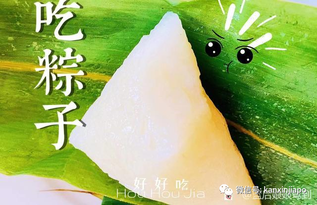 中国粽子来到新加坡后竟然变成了这个样子……