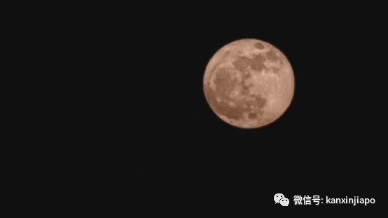 “​草莓月亮”登录新加坡，今晚8点半以前迎来圆满时刻！