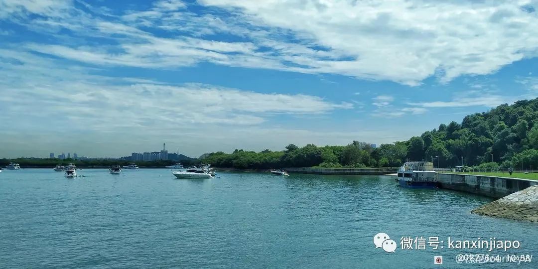 新加坡离岛攻略，半个多小时便能收获美景天堂