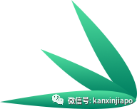中国粽子来到新加坡后竟然变成了这个样子……