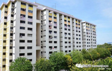 为什么说新加坡是育儿天堂?