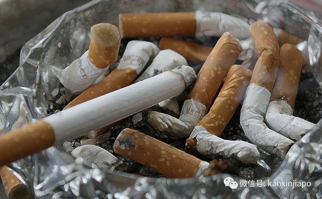 新加坡禁烟令发生大变化！涉及公园和沙滩...