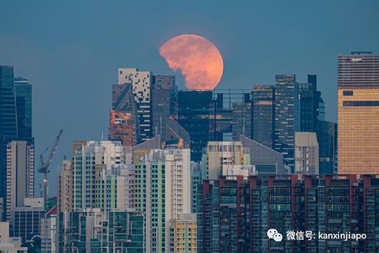 “​草莓月亮”登录新加坡，今晚8点半以前迎来圆满时刻！