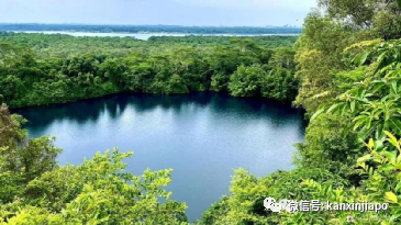 新加坡骑行绝佳路线推荐！新手、带娃通通考虑到了~