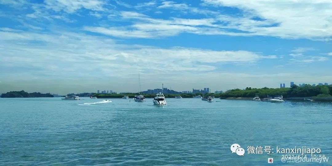 新加坡离岛攻略，半个多小时便能收获美景天堂