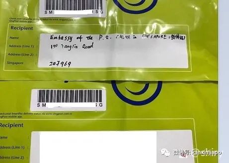 在新加坡如何更新中国护照，办理护照的证件照片的在哪里拍？