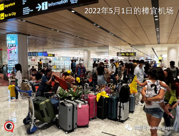 新加坡入境旅客人数连续四个月增长，航空业大举增聘，开出5000新元入职奖金