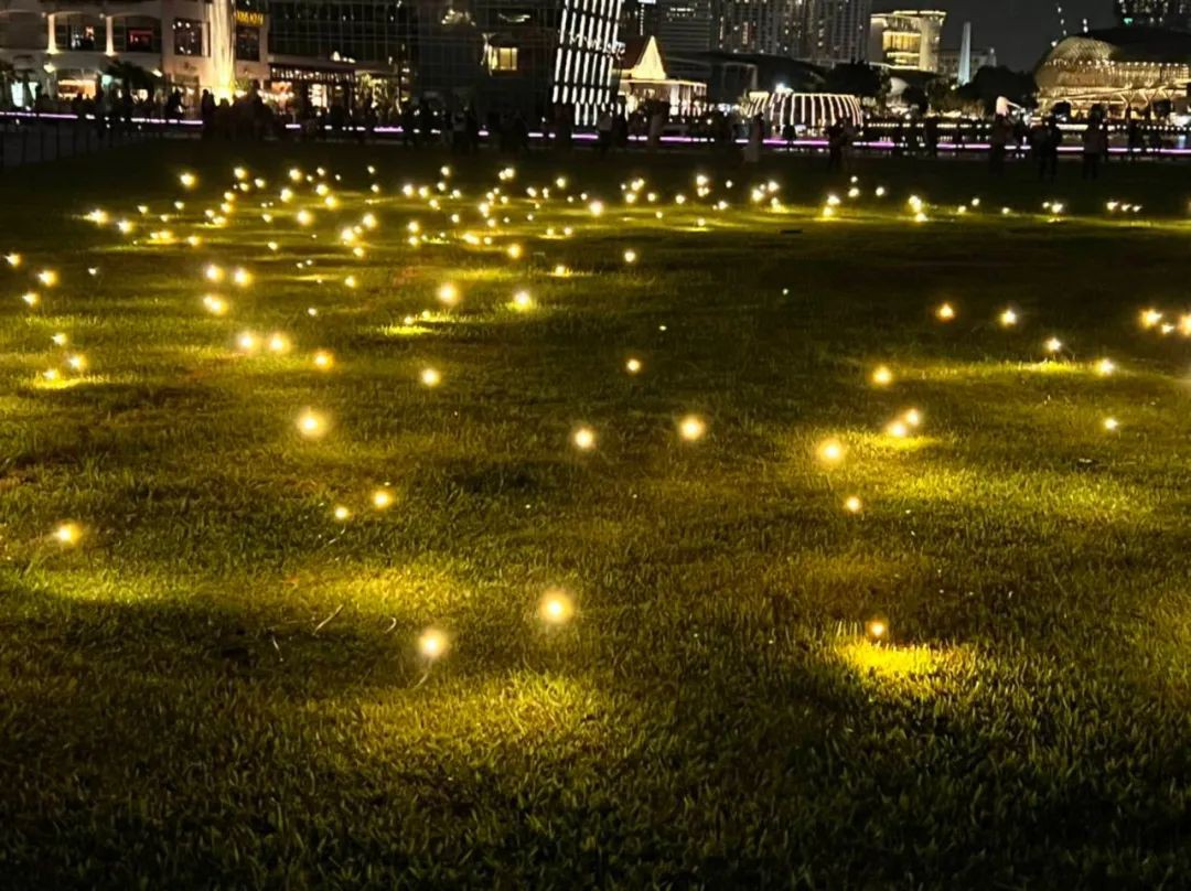 “照亮新加坡 2022”，滨海湾夜间华灯美轮美奂这月抓紧看