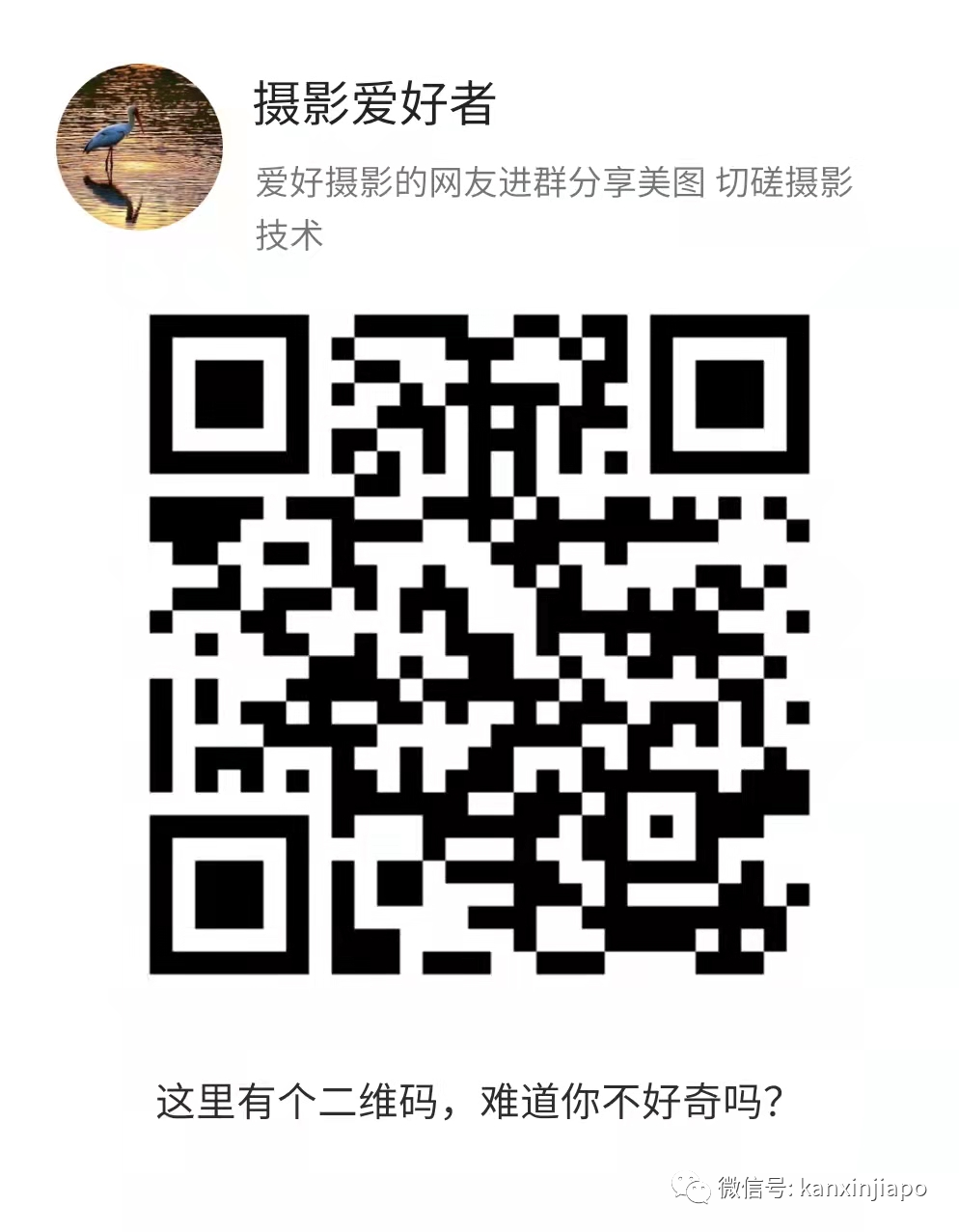 “​草莓月亮”登录新加坡，今晚8点半以前迎来圆满时刻！