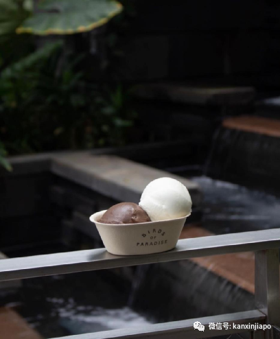 号称“新加坡最好吃的”的冰淇淋开新店了！连续3年登米其林推荐榜~