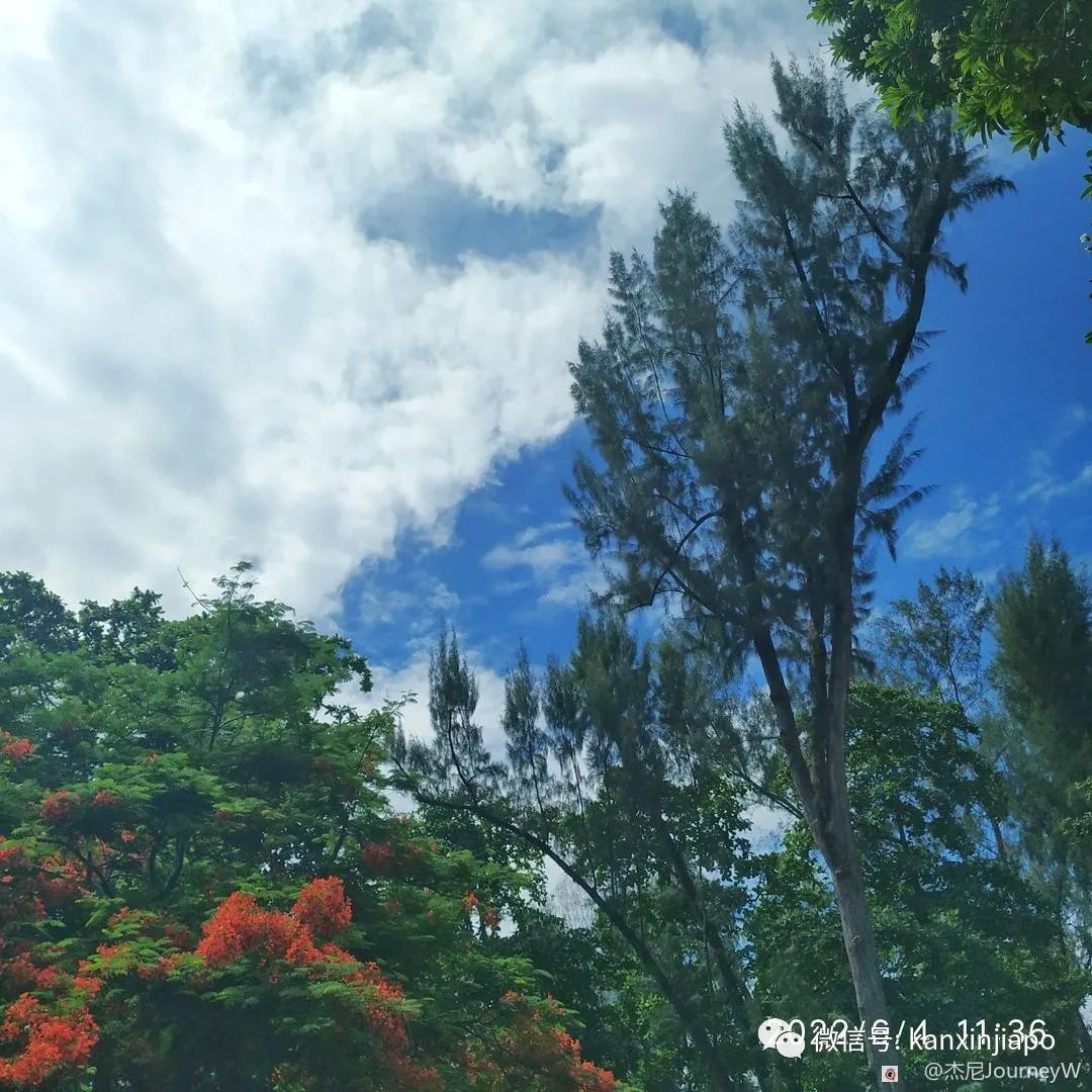 新加坡离岛攻略，半个多小时便能收获美景天堂