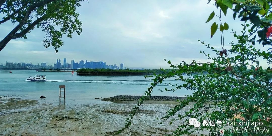 新加坡离岛攻略，半个多小时便能收获美景天堂