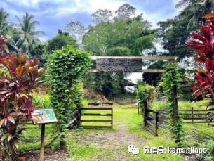 新加坡骑行绝佳路线推荐！新手、带娃通通考虑到了~