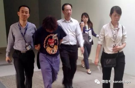 中国导游靠富婆上位秒变董事长，5年刑满后直接被新加坡驱逐出境！