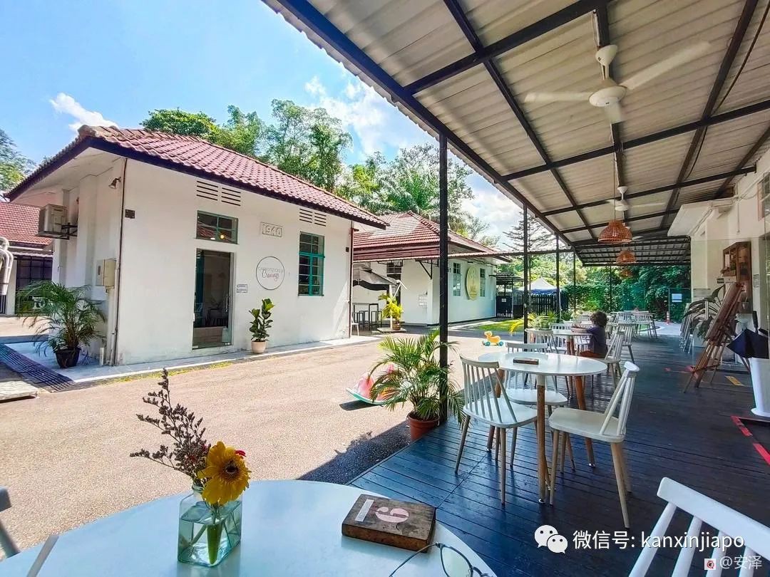 新加坡的这里如此浪漫又闲暇,在这工作就如度假