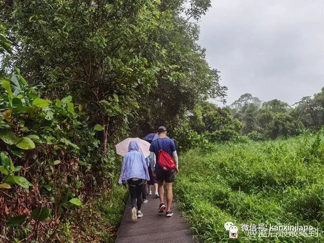 新加坡“小九寨”，13.6公里徒步全记录
