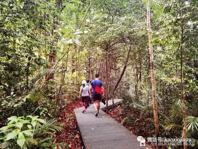 新加坡“小九寨”，13.6公里徒步全记录