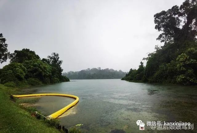 新加坡“小九寨”，13.6公里徒步全记录