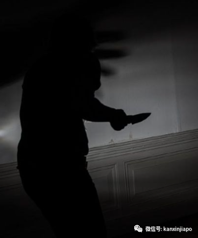 新加坡驳船码头一男子当街持刀行凶!今年已发生多起类似案件