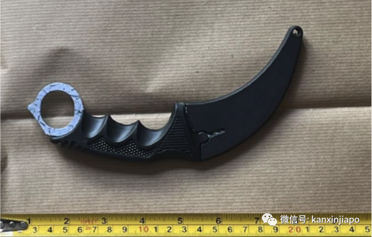 新加坡驳船码头一男子当街持刀行凶!今年已发生多起类似案件