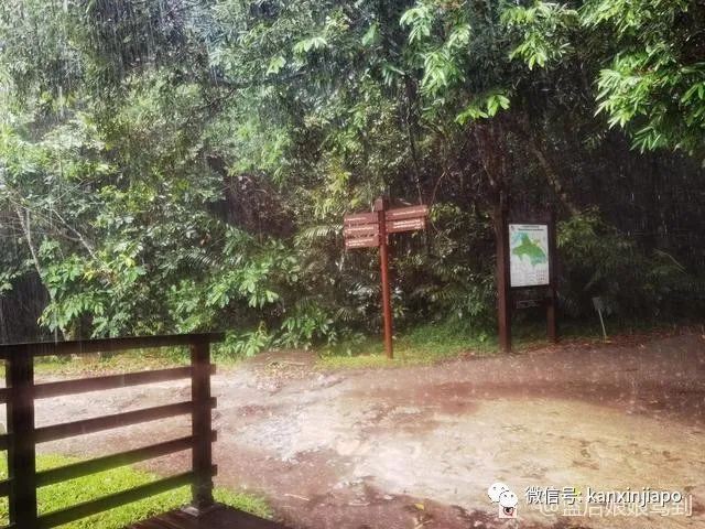 新加坡“小九寨”，13.6公里徒步全记录