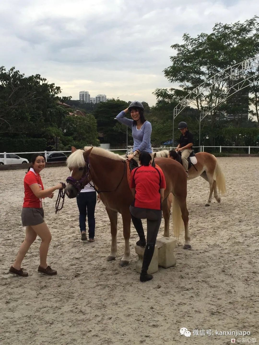 骑马还能治脑瘫和自闭症？新加坡新型心理治疗方法：马术！