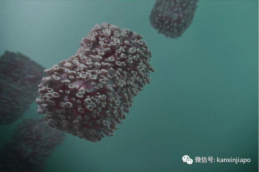 新加坡再出现一例猴痘病例!卫生部紧急提醒“高危性活动”人群