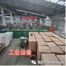 突发!一大型集装箱船在离开上海港时船体受损,船期延误!